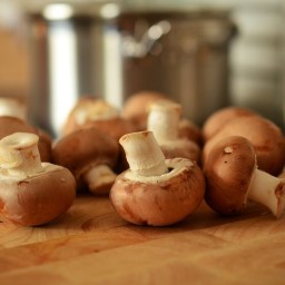 The Health Benefits of Mushrooms